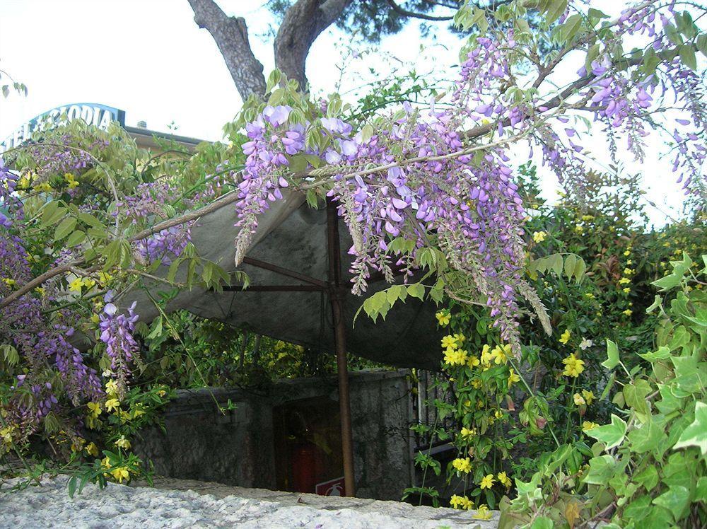 Hotel Villa Pagoda Sirmione Eksteriør bilde